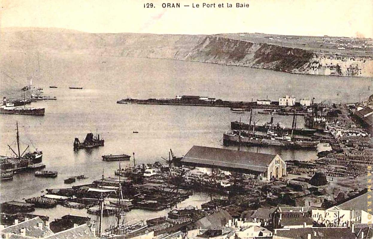 PO b- 247.jpg
